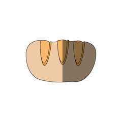 Fresh and delicious bread icon vector illustration graphic design