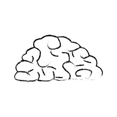 human brain organ health memory anatomy vector illustration
