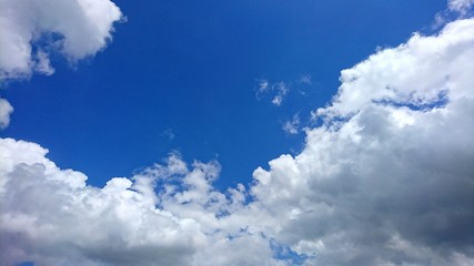 the summer blue sky