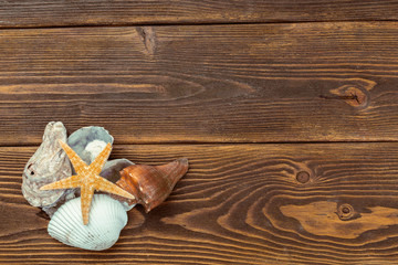 Beach accessories on wooden board
