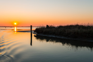 The  park of the river Po estuary © giumas