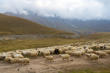 Landscapes of the Georgian Military Road, Georgia
