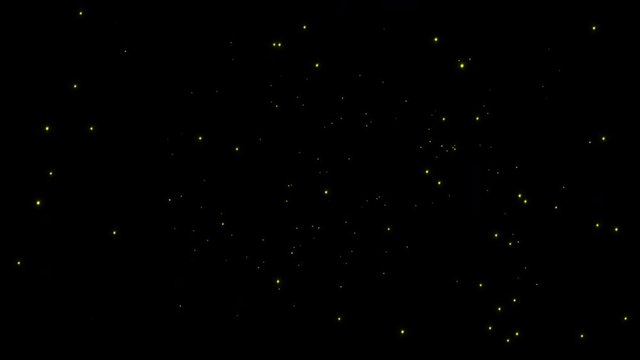 Looping Swarm of Sparse Isolated Fireflies At Night