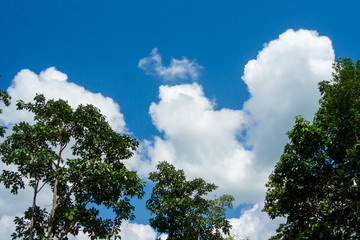 ฺBlue sky with white clouds