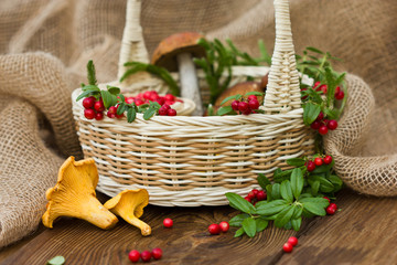 Fototapeta na wymiar Lingonberries and mushrooms in the basket. A beautiful composition of forest berries and mushrooms.