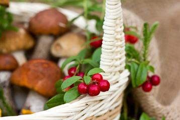 Fresh cranberries and mushrooms in a wicker basket on a wooden table, rustic style, close up.