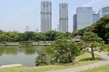 Fototapeta premium 初夏の庭園