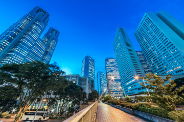Fototapeta premium 都市の夜景