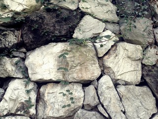 Fototapeta premium Garden decoration by rock and plant.