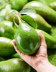 Woman choosing ripe avocados at grocery store © efired