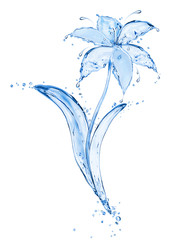 Blue flower made of fresh water splashes isolated on white background