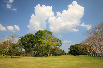 Autumn leaves background.