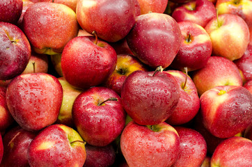 Group of red apples with water drops