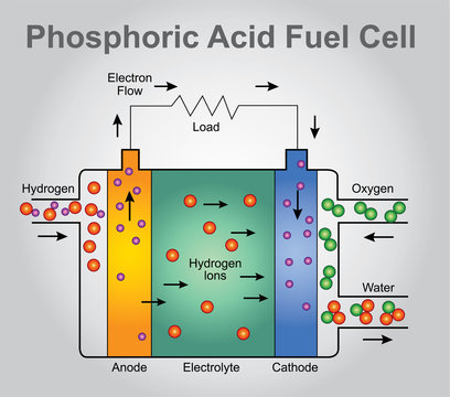 Phosphoric Acid fuel cell structure. Education technology info graphic vector.