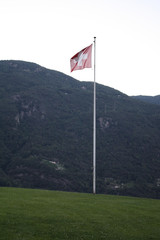 Flag in Switzerland