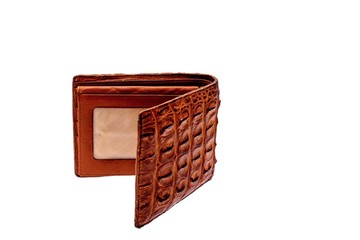 Purse of crocodile leather brown money money dolar currency on isolated on white background