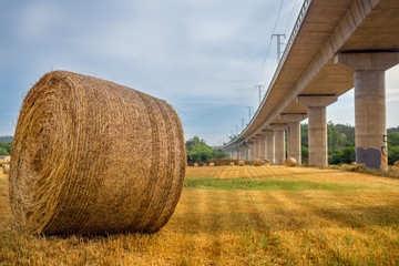 Straw bales on the field 15