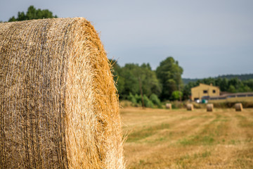 Straw bales on the field 8