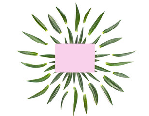 Frame with leaves isolated on white background.