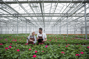 Serious man standing in greenhouse near mature woman
