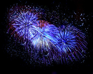 Fototapeta premium Beautiful fireworks in a night sky