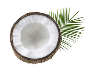 Single coconut half leaves isolated on white
