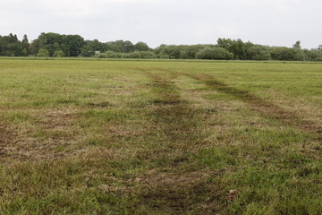 Obraz premium Im Teufelsmoor Ende Mai