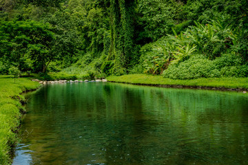 Fototapeta na wymiar Green water river