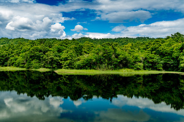 Fototapeta na wymiar Mountain trees and green lake