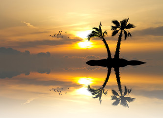 Obraz na płótnie Canvas palms on the island and birds at sunset