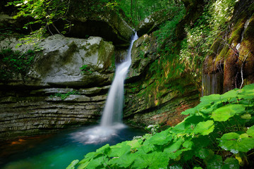 Hidden waterfall in the deep forest