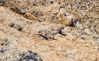 Rough Granite surface