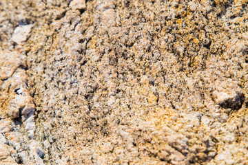 Rough Granite surface