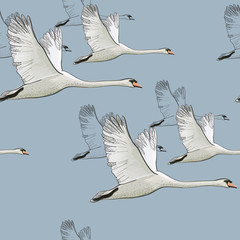 Obraz premium illustration of Seamless pattern of drawing Flying Swans. Hand drawn, doodle graphic design with birds. Wrapping paper, wallpaper, backdrop.