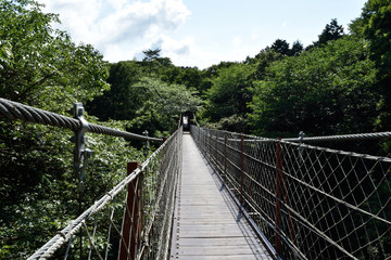 Fototapeta na wymiar suspension bridge