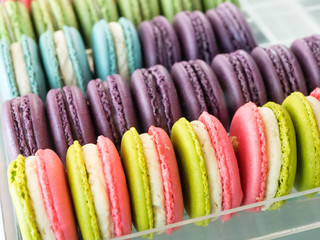  colorful macaroons, french sweet delicacy : selective focus.