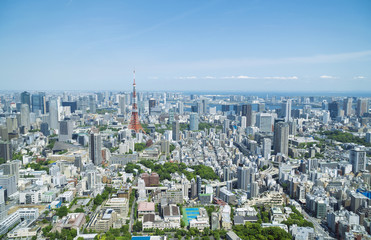 Fototapeta na wymiar 東京都市風景　東京タワー　六本木から望む都心全景　春　緑