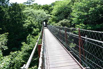 suspension bridge