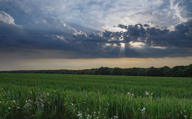 campagne Normande