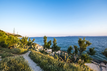 Park suma sveti Petar in Makarska Rivera in Croatia