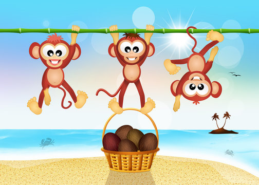 Funny Monkeys On The Beach