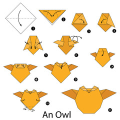 Step by step instructions how to make origami An Owl.