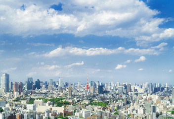 Fototapeta na wymiar 東京都市風景　東京タワー 恵比寿から望む都心全景　初夏　緑