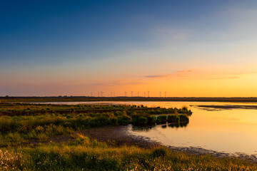 North German moor area