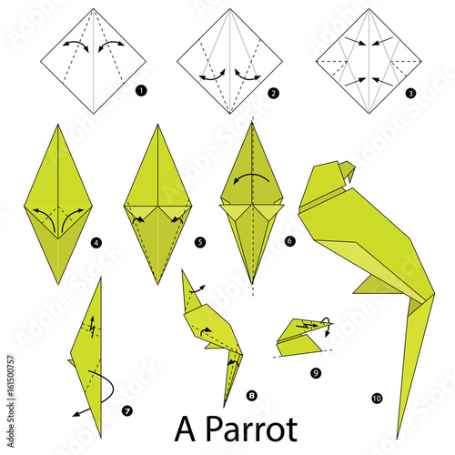 Origami Parrot Diagram Wiring Diagrams Show