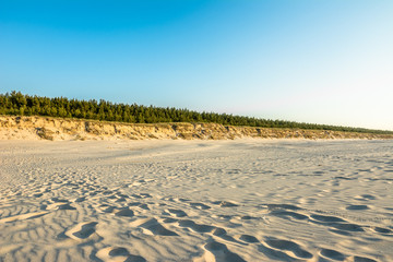 Fototapeta premium Empty beach with white sand near dune and pine forest, summer landscape over sea in Poland