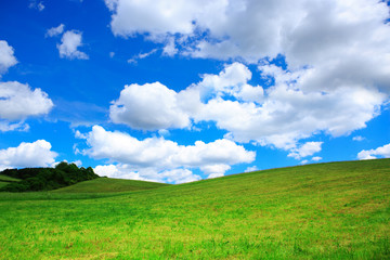 Field with green grass and blue sky with clouds.