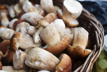 Basket full of fresh mushrooms