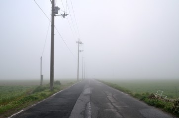 朝霧の田舎風景