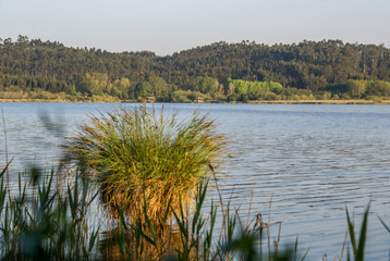 Pateira de Fermentelos, Portugal